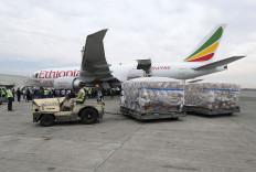  Ethiopian Airlines suspends pilots who missed landing 