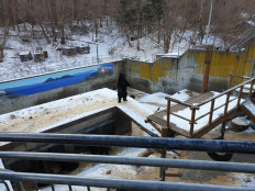 Why this Hokkaido bear park is animal abuse disguised as a conservation attraction