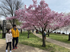 Air quality picking up in quarantined countries