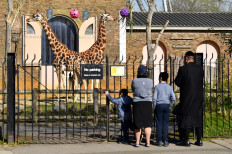 Shut by coronavirus, London Zoo seeks donations to safeguard animals
