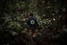 A Baaka pygmy tracker from the 'pangolin project' goes into the forest to try to track a pangolin, in Bayanga, on March 12, 2020. 