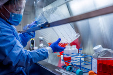 A researcher at the University of Pittsburgh works on a COVID-19 vaccine candidate, a fingertip-sized patch with dissolvable microscopic needles, in Pittsburgh, Pennsylvania, U.S., March 28, 2020.   (Reuters/UPMC/Handout ).
Usage: 0