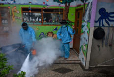 Dengue fever kills more than COVID-19 in Central Java