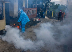 Dengue fever cases still on the rise despite seasonal change in some regions 