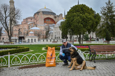 Strays feel the bite as pandemic spreads