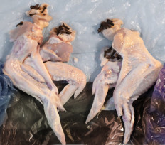 This undated handout picture shows the re-creation of Francois Boucher's 'The Three Graces' made of raw chicken wings and cloves by Kira Kuznetsova in Moscow. 