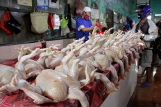 Chicken traders serve customers at Toddopuli Market in Makassar, South Sulawesi, in April 2020.
