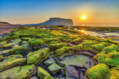 Jeju Island introduced to global audience via UNESCO media campaign