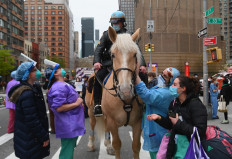 Healthcare workers pet a NYPD horse as people cheer and applaud to show their gratitude to medical staff and essential workers outside NYU Langone Health hospital on April 23, 2020 in New York City, amid the novel coronavirus pandemic. - More than one in five New Yorkers may have already had the new coronavirus, a testing sample showed April 23, suggesting infections are much higher than confirmed cases suggest. 