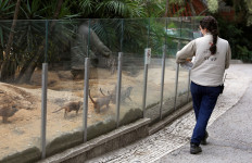 Lisbon zoo animals feel keepers' love while public away