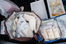 Express delivery: Mothers rally to donate vital breastmilk