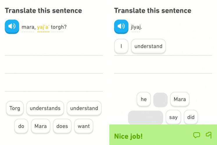 Learning Klingon (the language spoken in 'Star Trek' universe) on Duolingo. 