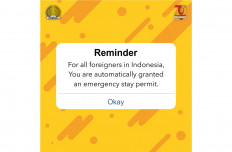 Automatic emergency stay permit extension for foreigners