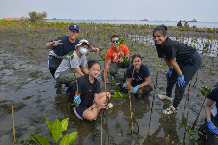 Helping the ecosystem: JIS students learn all about mangroves and their ecosystems, such as how they function, why they’re so important for the environment and how they’re related to the marine issues of Jakarta’s coastline.