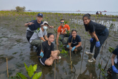 Achieving sustainable development through education 