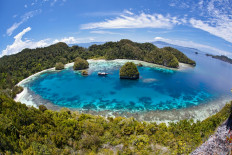 A remote lagoon, surrounded by limestone islands, protects a vibrant and diverse coral reef in Raja Ampat, West Papua. 