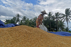 Agriculture Ministry asks for additional funds, seeks to help farmers’ recovery