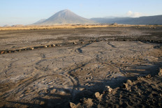 Making tracks: Ancient footprints shed light on early humans