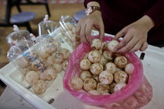 Turtles get boost as Malaysian state to ban egg trade