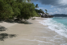 A picture taken on November 21, 2019, shows a nesting beach of hawksbill turtles in Cousin Island, a nature reserve island managed by Nature Seychelles, a national environmental NGO, Seychelles. 