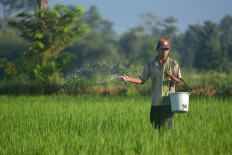 Govt to replace fertilizer subsidy with cash transfers to farmers