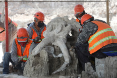 Mammoth skeletons dug up at Mexico City airport construction site