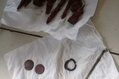 Human bones, coins from 1815 reportedly unearthed in West Java