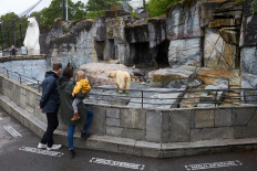 Denmark opens border to Germany, Norway and Iceland