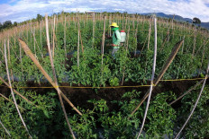 Intensive farming heightens pandemic risk: Study