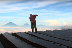 Award-winning documentary 'The Land Beneath the Fog' available on YouTube