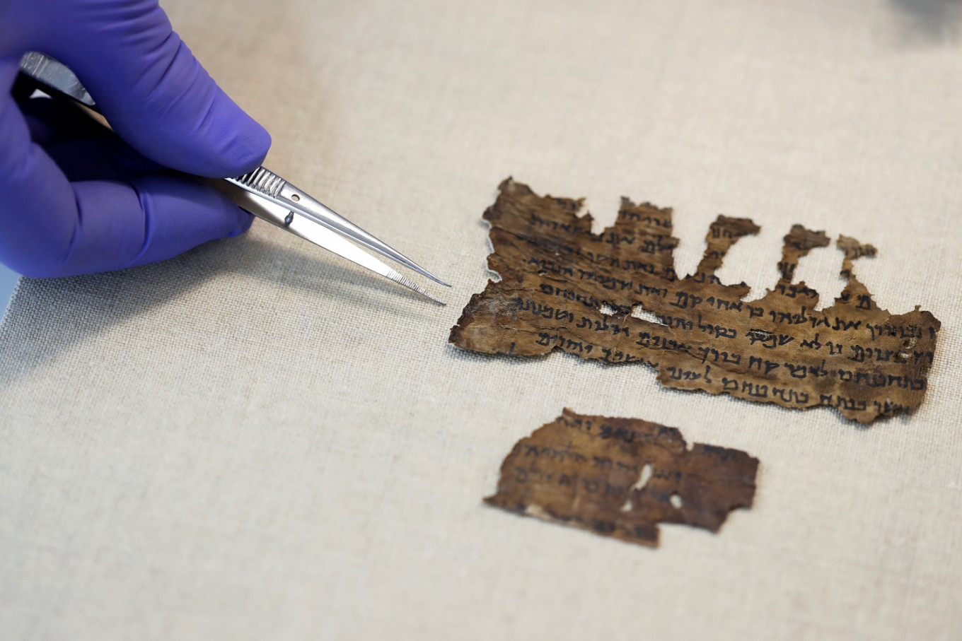 Hides that reveal: DNA helps scholars divine Dead Sea Scrolls
