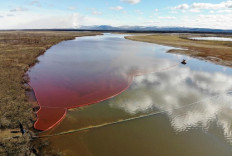 This handout photograph taken and released by the Marine Rescue Service of Russia on June 3, 2020, shows a large diesel spill in the Ambarnaya River outside Norilsk. Russian President Vladimir Putin on June 3 ordered a state of emergency and criticized a subsidiary of metals giant Norilsk Nickel after a massive diesel spill into a Siberian river.
The spill of over 20,000 tons of diesel fuel took place on May 29, 2020. A fuel reservoir collapsed at a power plant near the city of Norilsk, located above the Arctic Circle, and leaked into a nearby river.