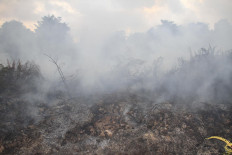 Indonesia braces for peak dry season after massive 2019 forest fires