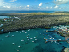 'Adapt and survive' as Galapagos girds for life without tourism