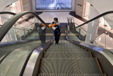 India&rsquo;s response to stimulate economy in the face of pandemic