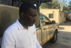 Jobs gone, investments wasted: Africa's deserted safaris leave mounting toll