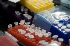 US announces clinical trial of antibody treatment for COVID-19