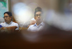 PLN slashes capital expenditure by half this year