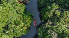 How to address Asia Pacific&rsquo;s biodiversity crisis and encourage nature-positive growth