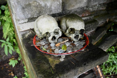 This picture taken on February 20, 2020 shows skulls on display with offerings at a cemetery where Bali's Trunyanese people hold open-air burials - before restrictions were implemented due to the COVID-19 coronavirus - near the village of Trunyan in Bangli Regency, near Lake Batur on Bali island. - For centuries Bali's Trunyanese people have left their dead to decompose in the open air, the bodies placed in bamboo cages until only the skeletons remain -- a ritual they haven't given up -- even as the COVID-19 pandemic upends burial practices worldwide. AFP/Sonny Tumbelaka