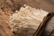 Indonesia orders destruction of imported enoki mushrooms over listeriosis fears