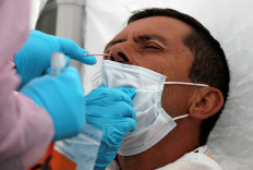 Harvard researchers want more 'crappy' tests for COVID-19