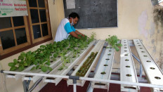 Neighbors look after one another to combat COVID-19 in Central Java