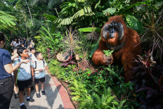 School children look at life size moving figure of an orangutan during a preview of the animatronic prehistoric megafauna display at Singapore Zoo on November 13, 2019.
