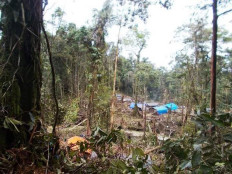 In a remote area of Papua, a box of instant noodles costs 2 grams of gold