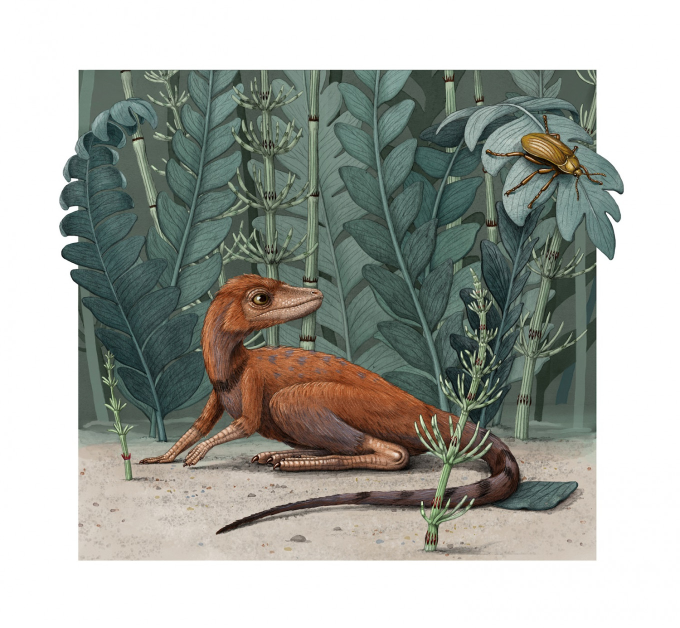 Modest Insect Munching Madagascar Reptile Was Forerunner To Dinosaurs Environment The Jakarta Post