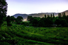 This long exposure picture taken on June 16, 2020 shows fireflies at Tatsuno Hotarudoyo Park in Tatsuno in Nagano Prefecture. 
