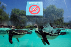 David Attenborough in appeal to save charity behind London Zoo