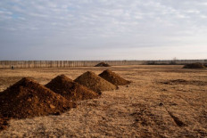 Counting the burials: African nations scramble to track COVID-19