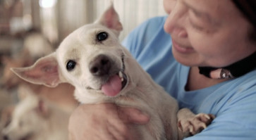 Indonesian animal lover rescues more than 1,000 dogs from butchers